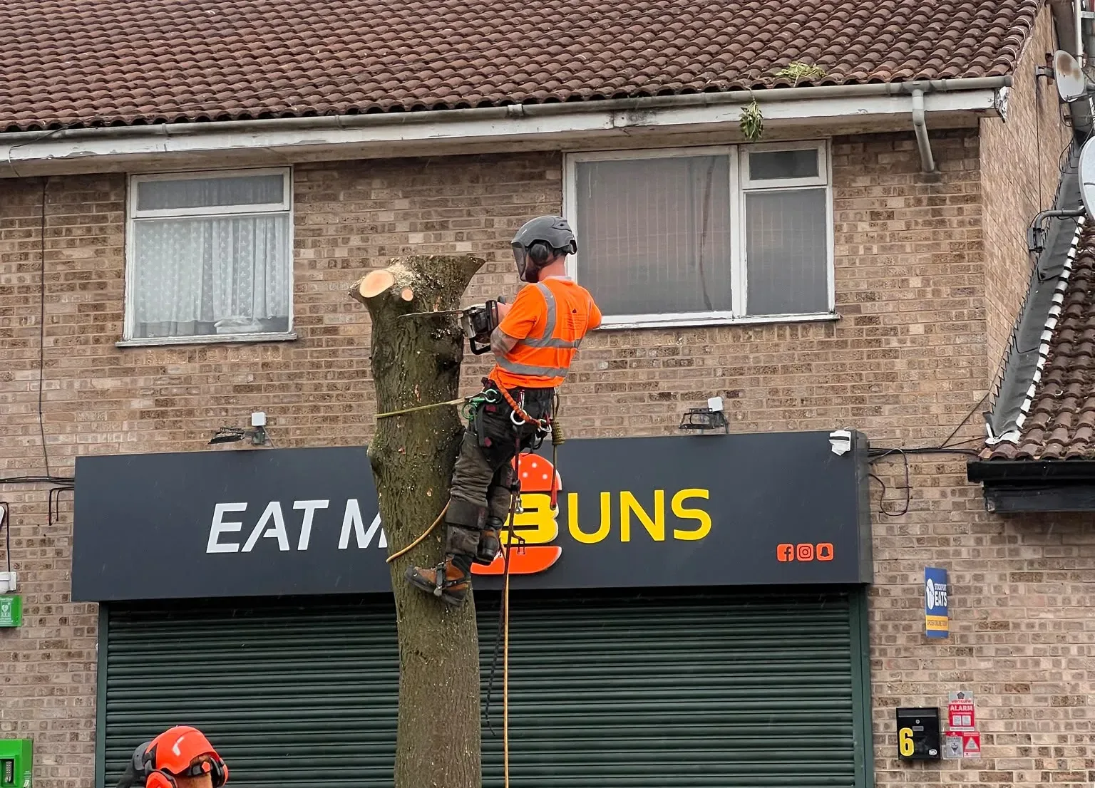 Two LJO operatives in high visibility clothing dismantling a tree above a parade of shops