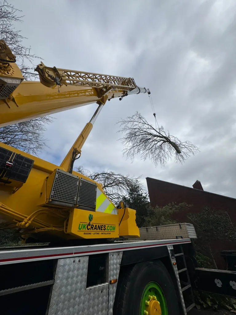 A mobile crane lifting a severed tree limb clear of a residential property